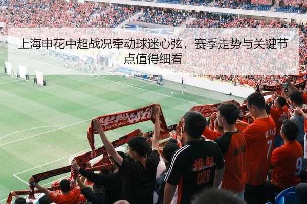上海申花中超战况牵动球迷心弦，赛季走势与关键节点值得细看